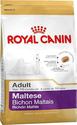 Royal Canin Adult Maltese 0.5kg Hrană Uscată pentru Câini Adulți de Rase Mici cu Pui și Orez