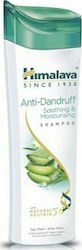Himalaya Wellness Anti-Dandruff Shampoos gegen Schuppen 200ml