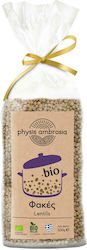 Physis Ambrosia Φακές Bio 500gr Physis Ambrosia Φακές Bio 500gr