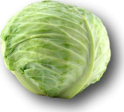 Cabbage Supreme Vantage F1 | lenses 2500 seeds