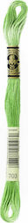 DMC Thread Embroidery Mouliné 117 Cotton in Green color 8m Charteuse