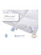 Quilt Silverstar (duck) 170gr/m² 90/10 - 160x230