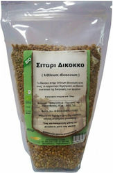 HealthTrade Bio Σπόροι Σίτου Δίκοκκου 500gr