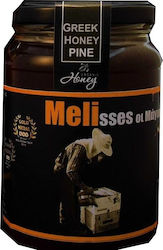 Melisses oi Magisses Organic Product Honey Pine 480gr