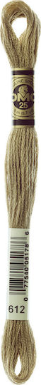 DMC Thread Embroidery Mouliné 117 Cotton in Beige color 8m Beige