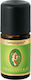 Primavera Organic Essential Oil Lemongrass 10ml