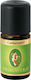 Primavera Ätherisches Öl Kardamom Biologisch Ätherisches Öl Kardamom 5ml