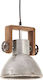 vidaXL Pendant Light Silver Bell with Socket E27 101x24cm
