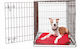 Glee Dog Wire Crate with 2 Doors Μεταλλικό Περιορισμού Medium 77.5x48.5x55.5cm 77.5x48.5x55.5cm 88501