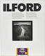 Ilford MG RC DL 1M 18x24 Darkroom Paper