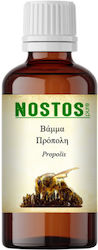 Nostos Pure Βάμμα Πρόπολη Propolis 100ml