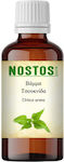 Nostos Pure Tincture Nettle Tincture 100ml