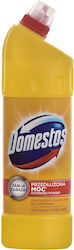 Domestos Toilet Cleaner Citrus Течен Тоалетна 1lt