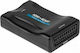ACP HDMI Female to Scart Female Converter 1 Piece