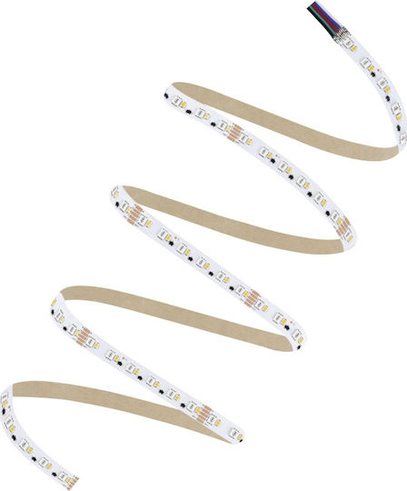 Ledvance Ταινία LED LS PFM 24V RGBWW Φως 5m