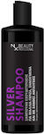 NX Beauty Professional Silver Shampoos Color Maintenance for Coloured Hair 500ml