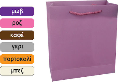 Plastic Bag for Gift 26x12x34cm. (Various Colors/Designs) 11401067