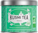 Kusmi Tea Organic Green Tea Detox 100gr