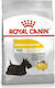 Royal Canin Dermacomfort Mini 1kg Hrană Uscată pentru Câini Adulți de Rase Mici cu Porumb, Păsări de curte și Orez