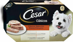 Cesar Multipack Umedă pentru Câini Câine cu Miel, Carne de vită, Pui și Vițel în Tavă 4 x 150gr.