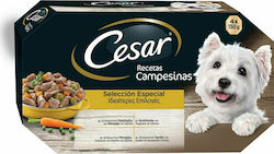 Cesar Multipack 4x150gr