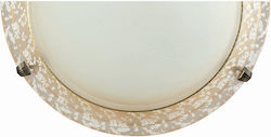 ArkoLight Leuchte Wand Honig 30x15cm ArkoLight Leuchte Wand Honig 30x15cm