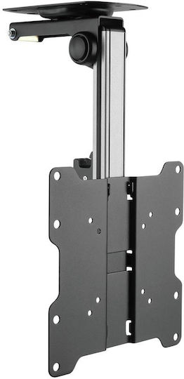 Techly ICA-CPLB 222 Βάση Τηλεόρασης Οροφής έως 37" και 20kg