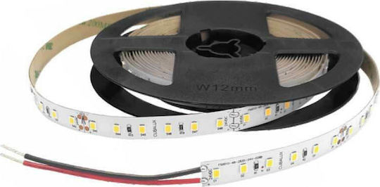 Cubalux LED Strip TΩRA 24V Warm White Light 5m
