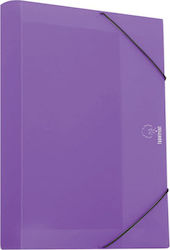 Typotrust Plastic Cutie de Arhivare cu Elastic 35x3x25cm. Violet