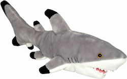Wild Planet All About Nature Black Tip Shark 40 cm.