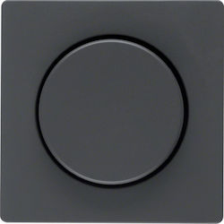 Hager Q.1/Q.3 Dimmer-Schalterplatte Beleuchtung in Schwarz Farbe 11376086