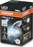 Osram Lamps Car LEDriving SL P13W LED 6000K Cold White 12V 1pcs