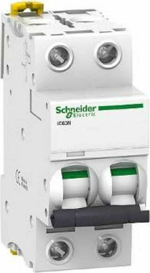 Schneider Electric Αυτόματη Ασφάλεια 25A Διπολική AC/DC A9F74225