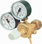 Nitrogen regulator mini mestriner