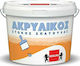 Berling General-Purpose Acrylic Putty for Filling Cracks and Holes White 250ml