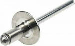 Aluminum Rivet 4/12mm 100pcs