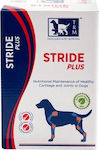 Pet Camelot Stride Plus Hyaluronic Acid 200ml