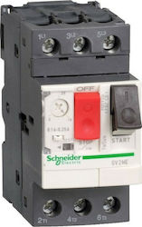 Schneider Electric Θερμομαγνητικός Διακόπτης Προστασίας 20-25A Ακροδέκτες Βίδας TeSys GV2ME22