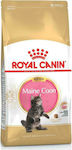 Royal Canin Maine Coon Kitten Ξηρά Τροφή για Ανήλικες Γάτες με Πουλερικά / Ρύζι 4kg