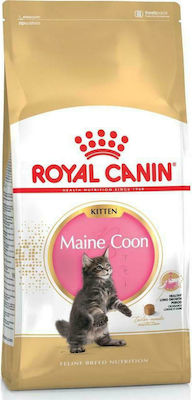 Royal Canin Maine Coon Kitten Dry Food for Juvenile Cats with Poultry / Rice 4kg