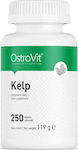 OstroVit Kelp Ιώδιο 250 ταμπλέτες