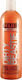 Wahl Professional Pets Showman Dirty Beastie Hundeshampoo für Hunde 500ml