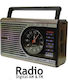 Meier M-41BT Tabletop Radio Rechargeable with B...