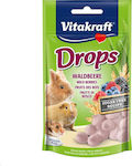 Vitakraft Drops Wildberry Treat with Fruits for Guinea Pig, Rabbit, Squirrel and Hamster 75gr