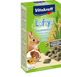 Vitakraft Lofty's Treat for Guinea Pig, Rabbit and Hamster 100gr