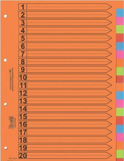 Next Paper Dividers for Documents A4 with Holes 10pcs Colorful 20 slots