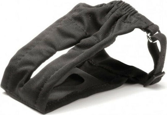 Record Dog Panties 1pcs