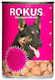 Rokus Canned Wet Dog Food with Lamb 1 x 1250gr