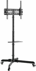 Audizio MFS30 129.182 Βάση Τηλεόρασης Δαπέδου έως 65"