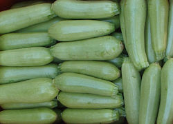 Agrotikos Oikos Spyrou Samen Kürbisς Zucchini Armonia